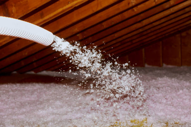 Best Insulation Installation Services in Port Washington, WI