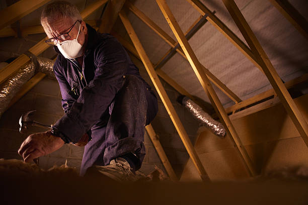 Best Types of Insulation in Port Washington, WI